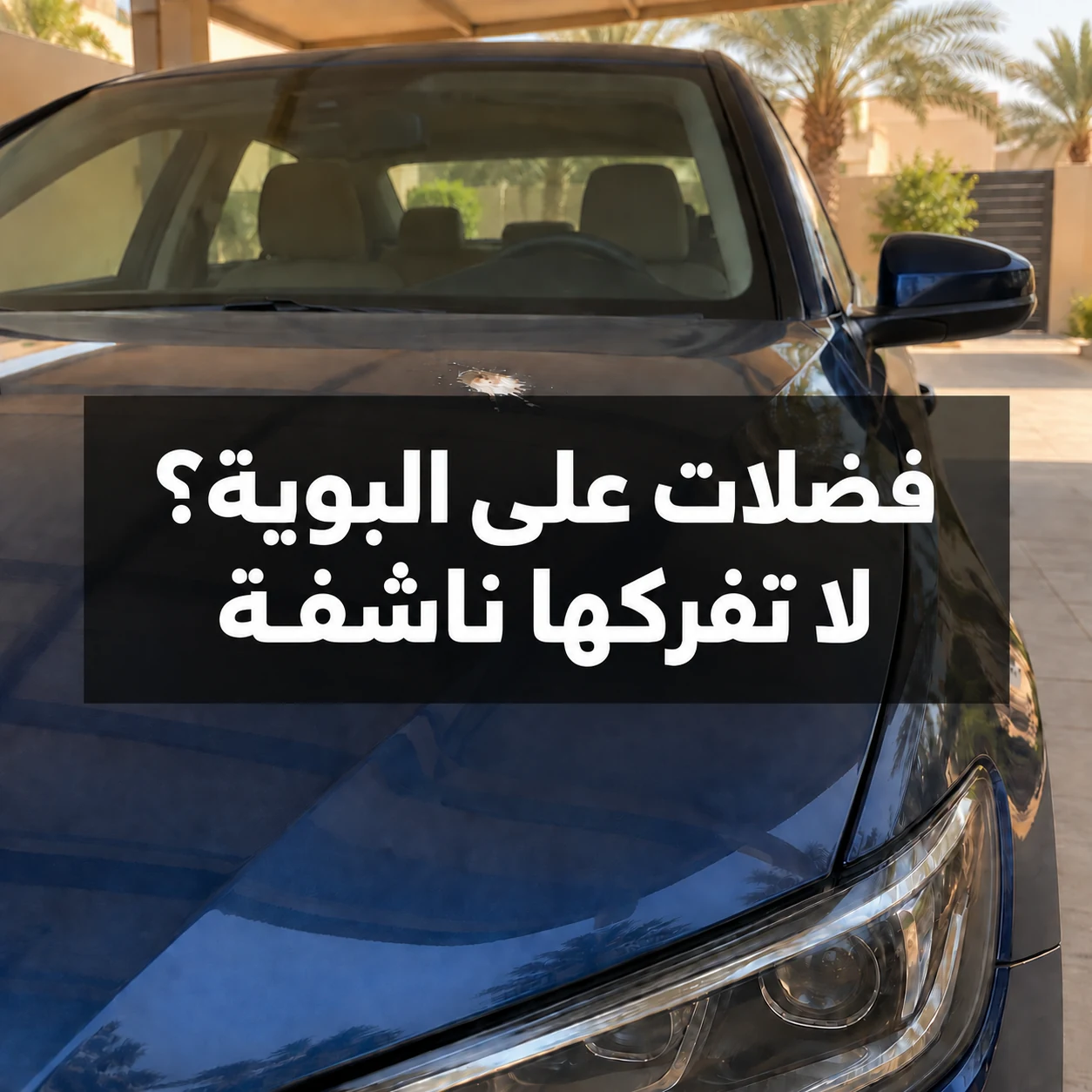 بقعة فضلات طيور على سيارة زرقاء مع عبارة فضلات على البوية؟ لا تفركها ناشفة داخل الصورة